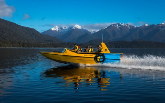 fiordland-jet (2)